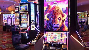 bet 499